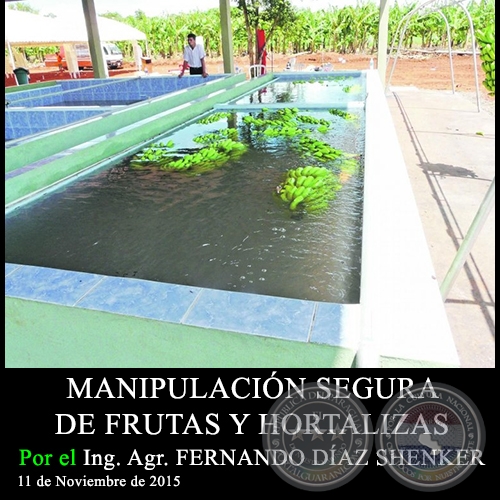 MANIPULACIÓN SEGURA DE FRUTAS Y HORTALIZAS - Ing. Agr. FERNANDO DÍAZ SHENKER - 11 de Noviembre de 2015